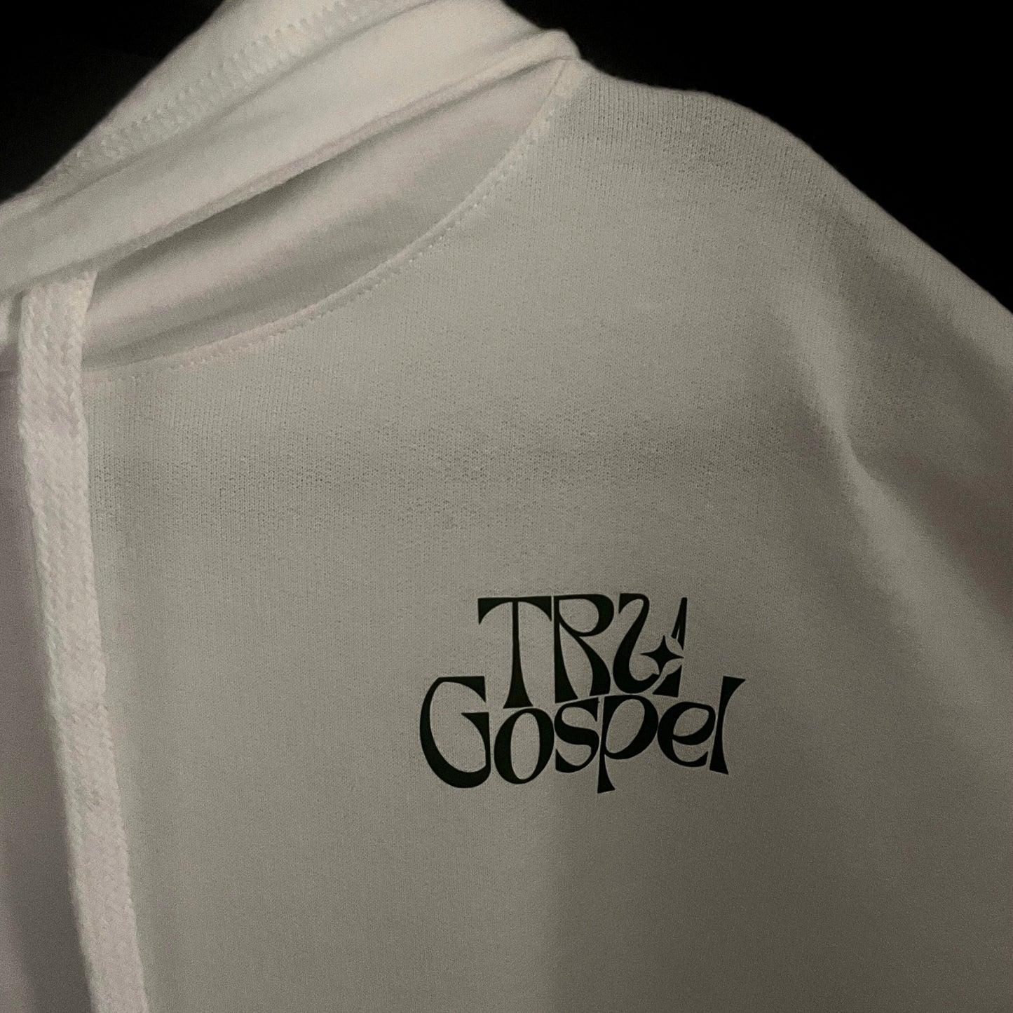 Colossians 2:7 Hoodie