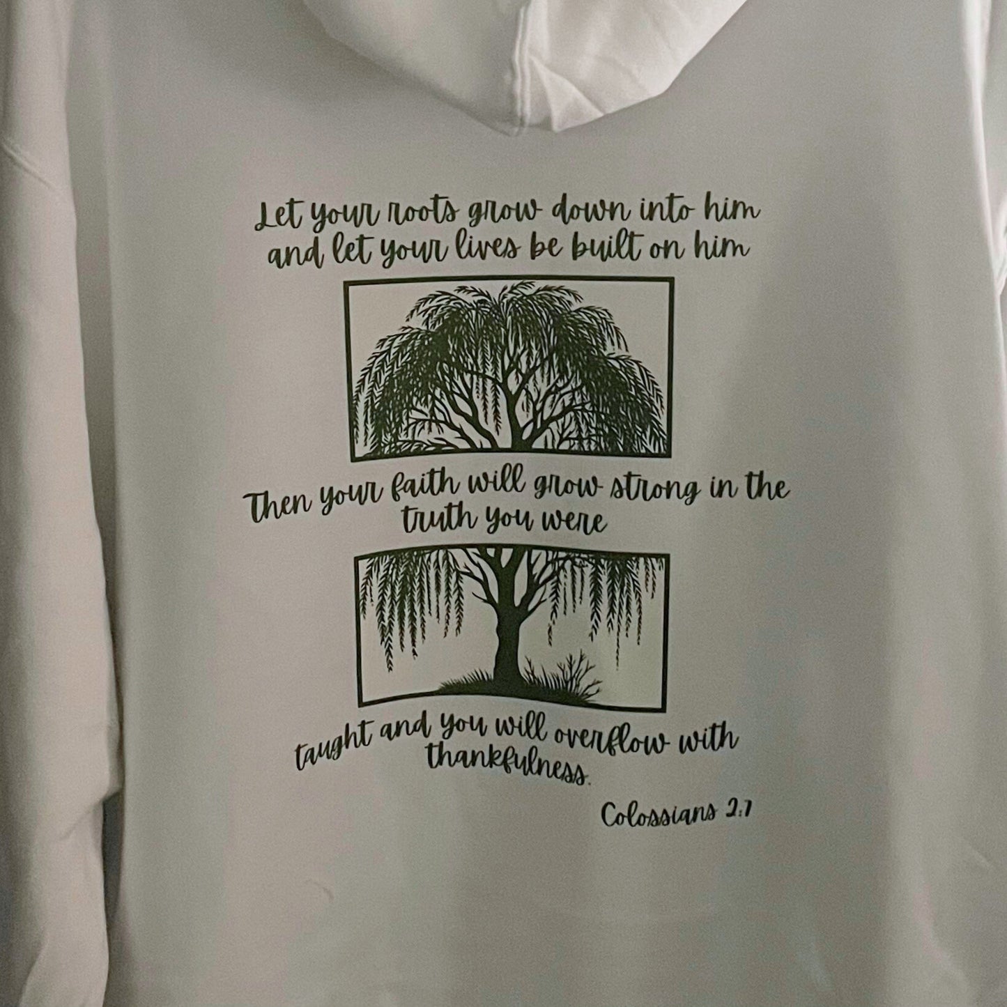 Colossians 2:7 Hoodie